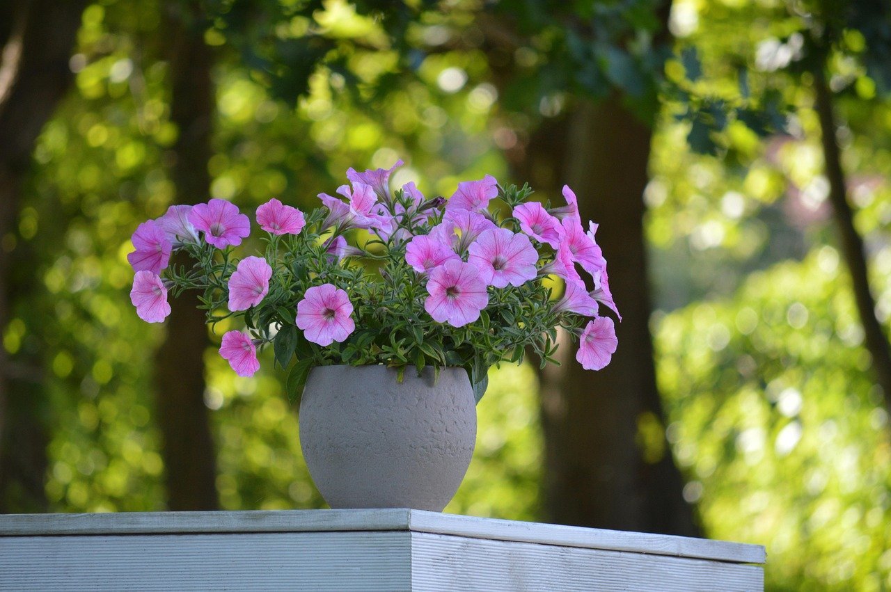 A gray stone pot with pink petunias sits on a white wooden surface outdoors, with green trees blurred in the background.